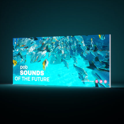 20FT Premium SEG Display Stand